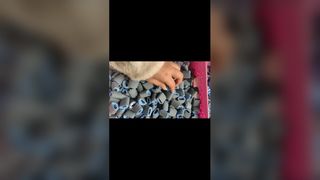 এইচপি পিকআপ রোলার 1010