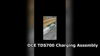 OCE TDS700 এর জন্য আসল চার্জিং অ্যাসেম্বলি 1060015221 1070026763