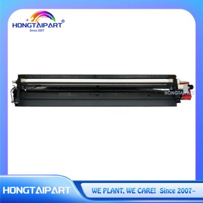 কেনা কালো ডেভেলপার ইউনিট D177-3025 D177-3026 D177-3027 D177-3028 D177-3020 D177-3021 D177-3022 D177-3023 রিকো এমপি জন্য C2003 C2503 অফিস প্রিন্টার সরবরাহ অনলাইন উত্পাদন